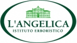 L´Angelica